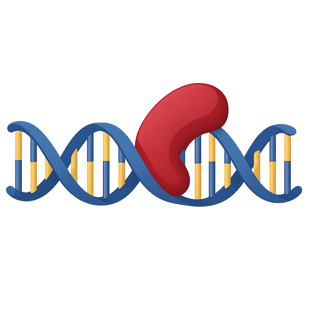 DNA